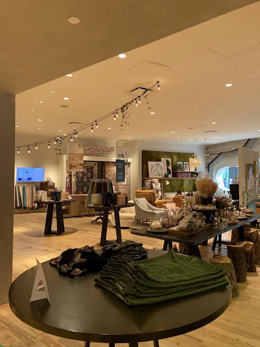 Anthropologie 3