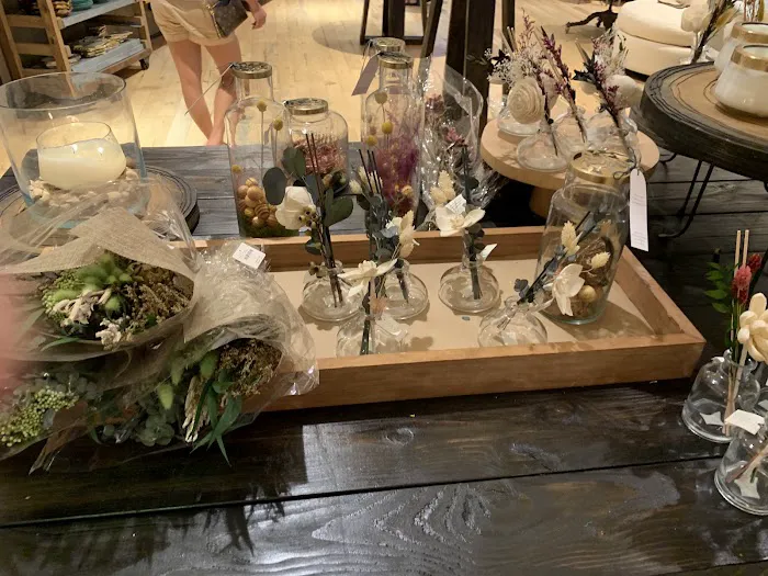 Anthropologie 7