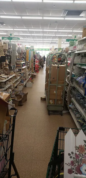 Dollar Tree 3