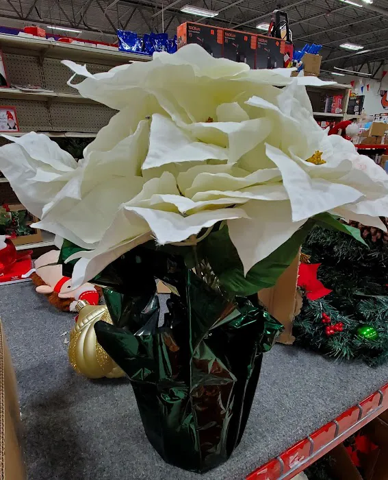 Ollie's Bargain Outlet 0