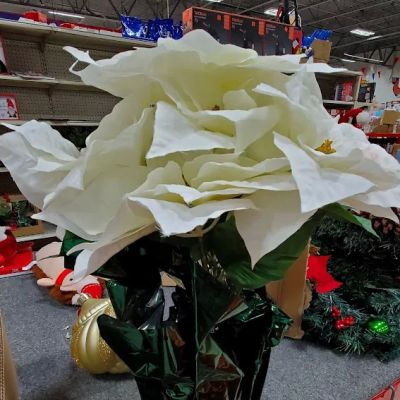 Ollie's Bargain Outlet