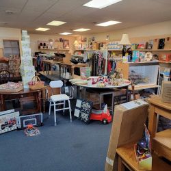 Thrift Store & More ico