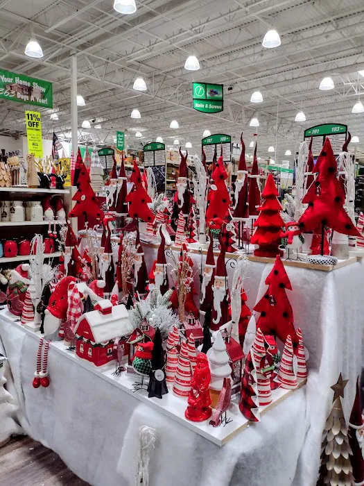 Menards 5
