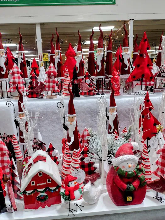 Menards 7