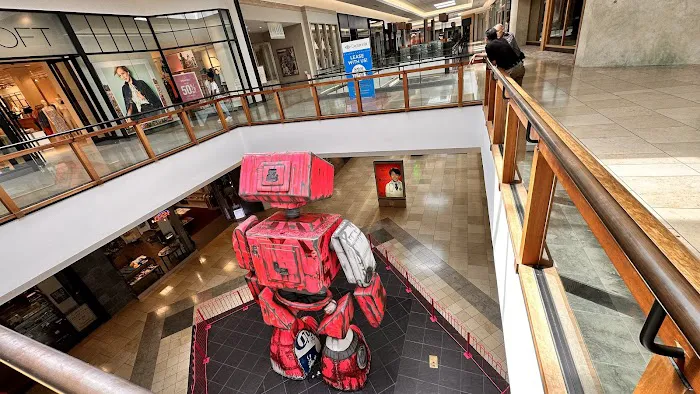 Dillard's 2