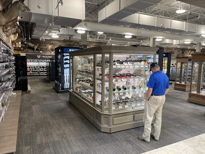 Scheels 6