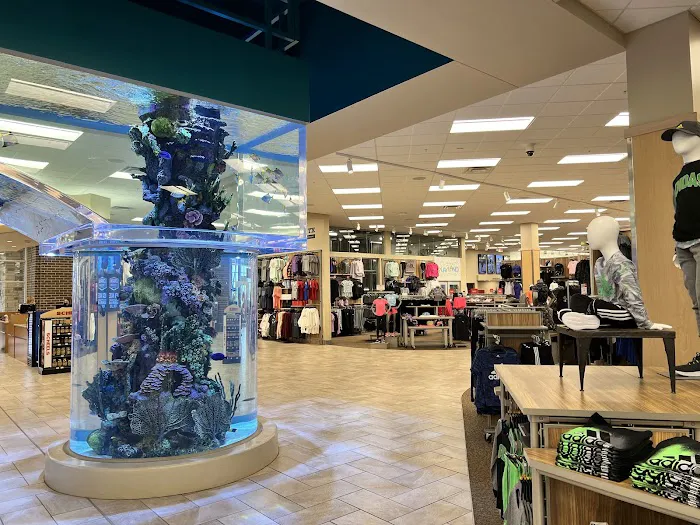 Scheels 0