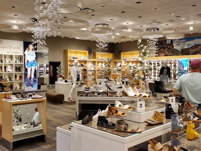 Scheels 9
