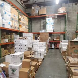 Sol Latino Market ico