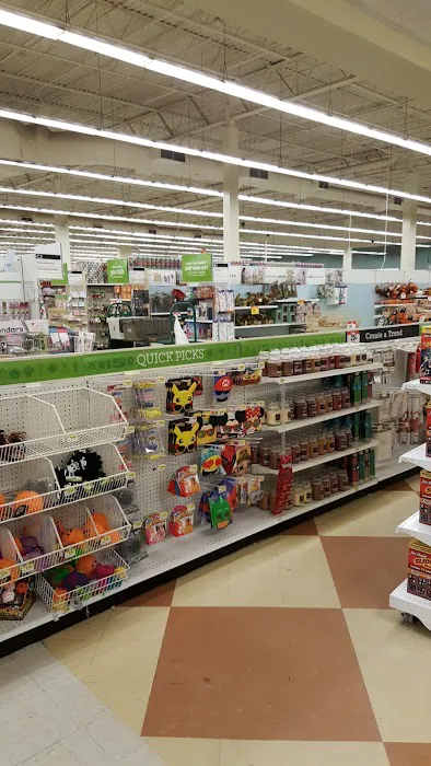 JOANN Fabric and Crafts 4