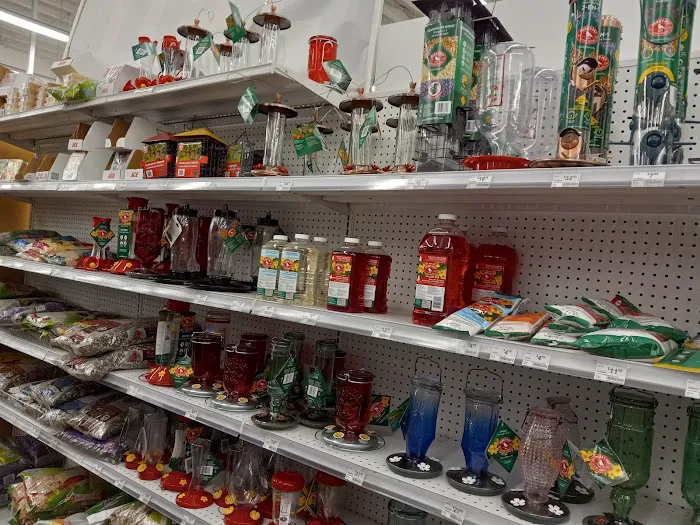Ace Hardware 7