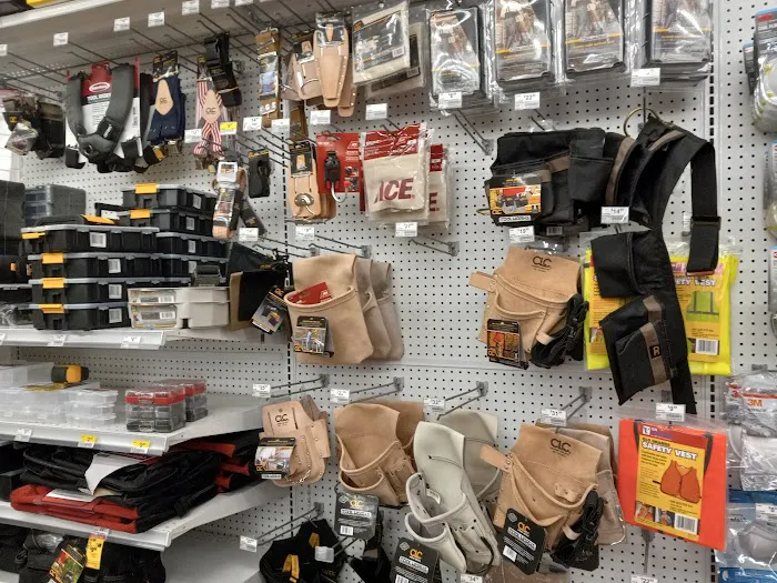 Ace Hardware 8
