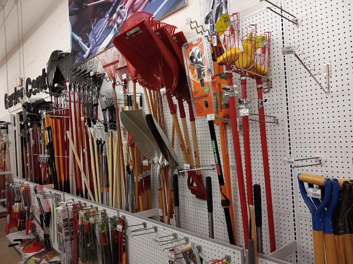 Ace Hardware 1