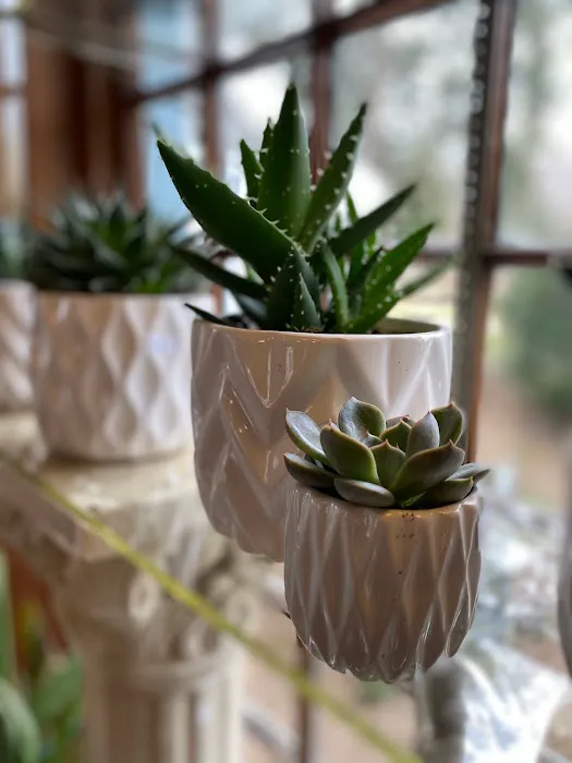 Guilford White House Florist 9