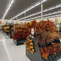 Hobby Lobby ico