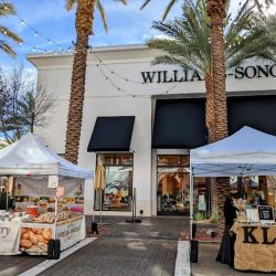Williams-Sonoma ico