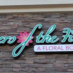 Flowers Of The Field ico