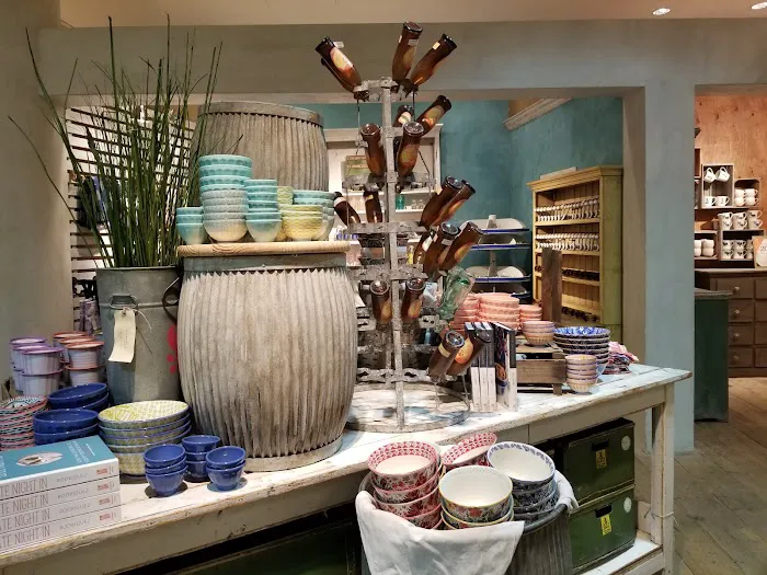 Anthropologie 4