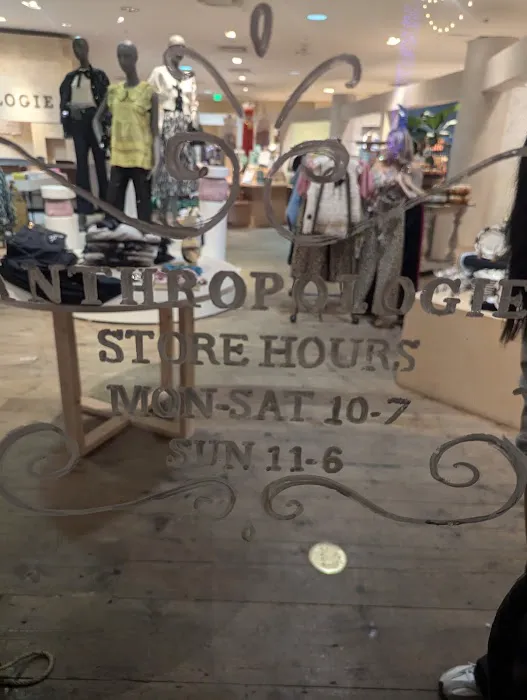 Anthropologie 1