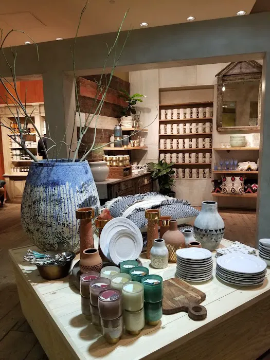 Anthropologie 7