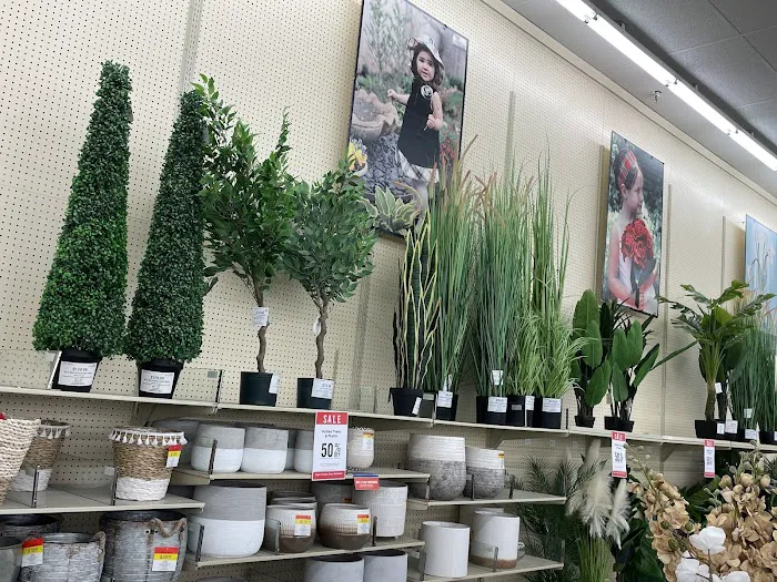 Hobby Lobby 3