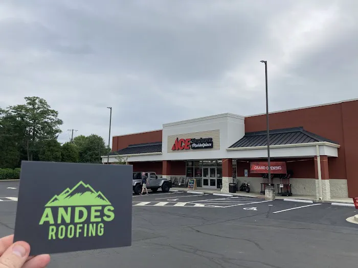 Ace Hardware 0