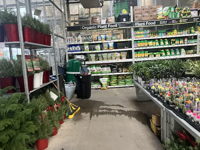 The Home Depot 2