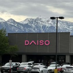 Daiso - Japanese Household Goods ico