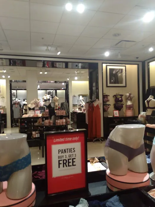 Victoria's Secret & PINK by Victoria's Secret 6