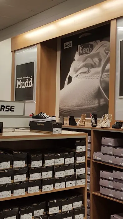 Kohl's 8