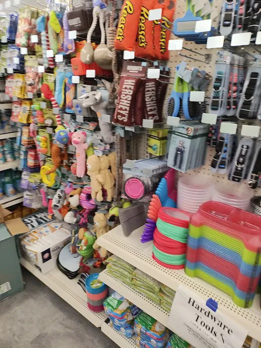 Dollar Tree 6