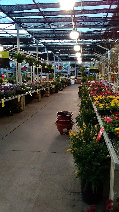The Home Depot 9