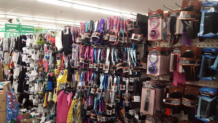 Dollar Tree 6