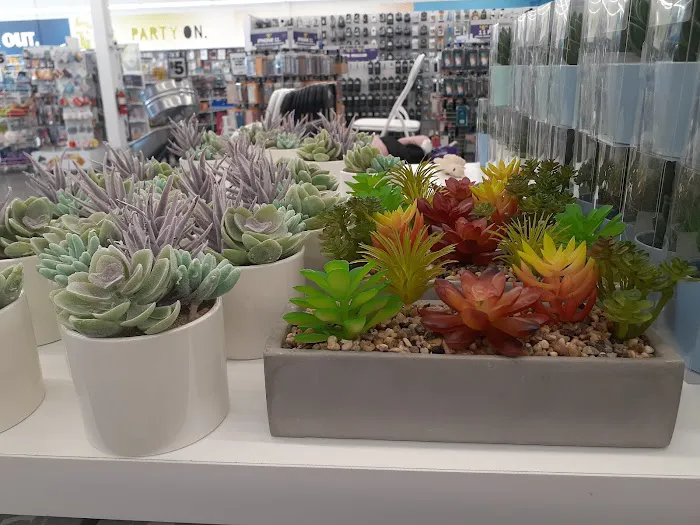 Five Below 8