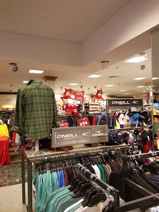 Boscov's 17