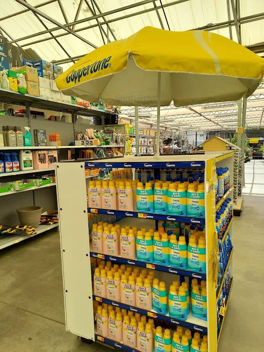 Walmart 5