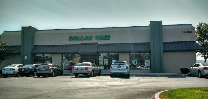 Dollar Tree 3