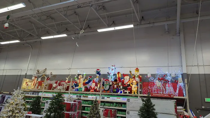 The Home Depot 0