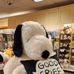 Amy's Hallmark Shop ico