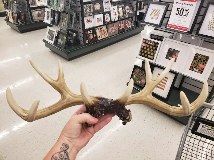 Hobby Lobby 5