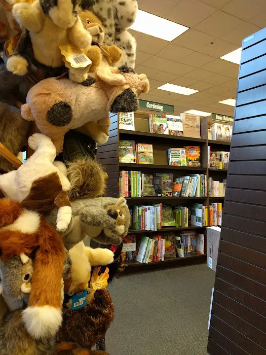 Barnes & Noble 4