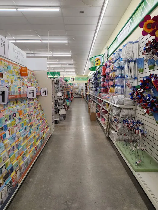 Dollar Tree 2
