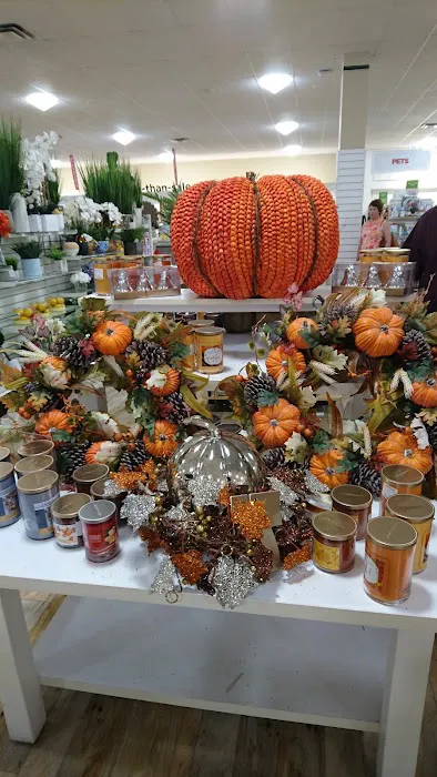 T.J. Maxx & HomeGoods 6