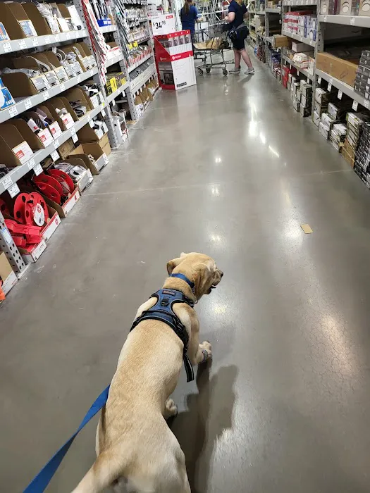 Lowe's Home Improvement 7
