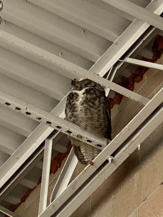 Lowe's Home Improvement 0