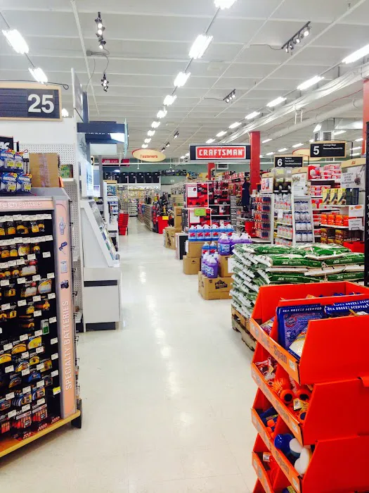 Ace Hardware at Austin Bluffs 3