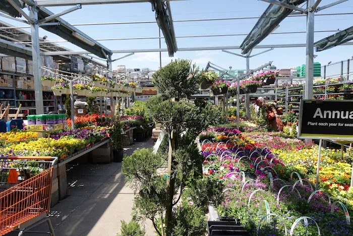 The Home Depot 3