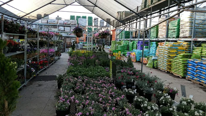 The Home Depot 6