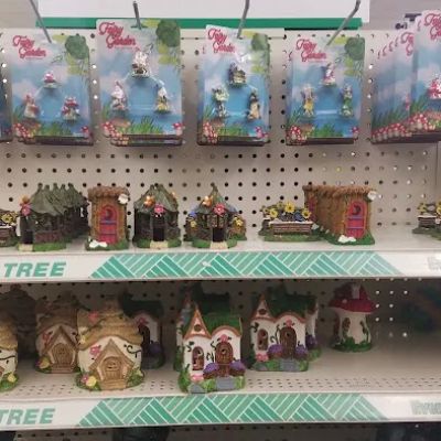 Dollar Tree