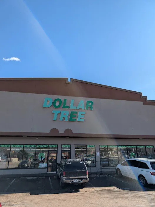 Dollar Tree 6